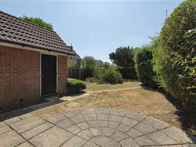 Picture 20